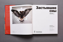 Frozen Dreams: Contemporary Art from Russia (Russian edition)