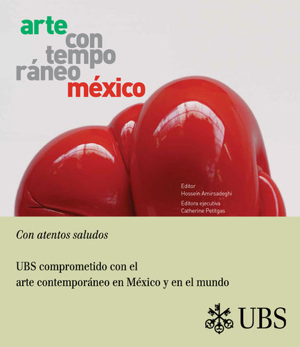 Arte Contemporáneo México (Bellyband edition)
