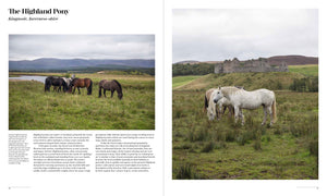 Equine Journeys profile of The Highland Pony