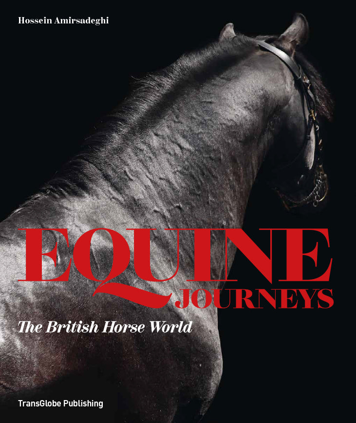 Equine Journeys book cover image of black horse