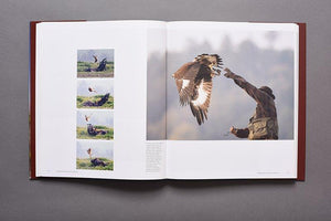 Sky Hunters: &lt;br /&gt;The Passion of Falconry